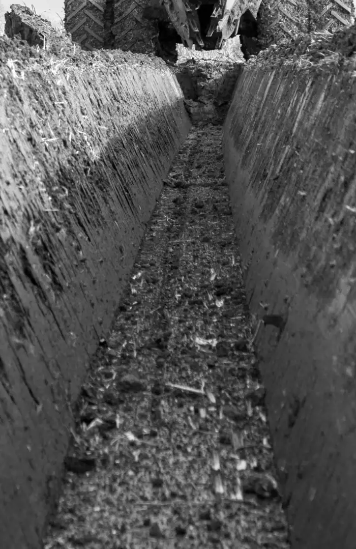 subdivision drainage